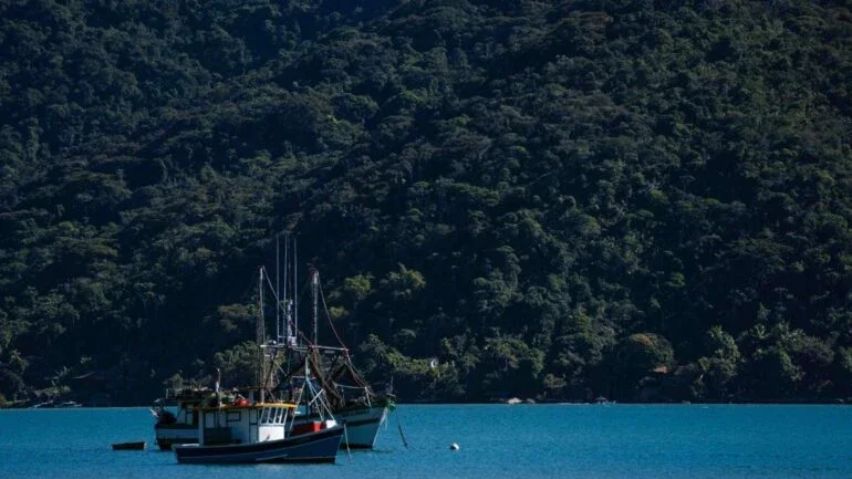 Saco do Mamanguá