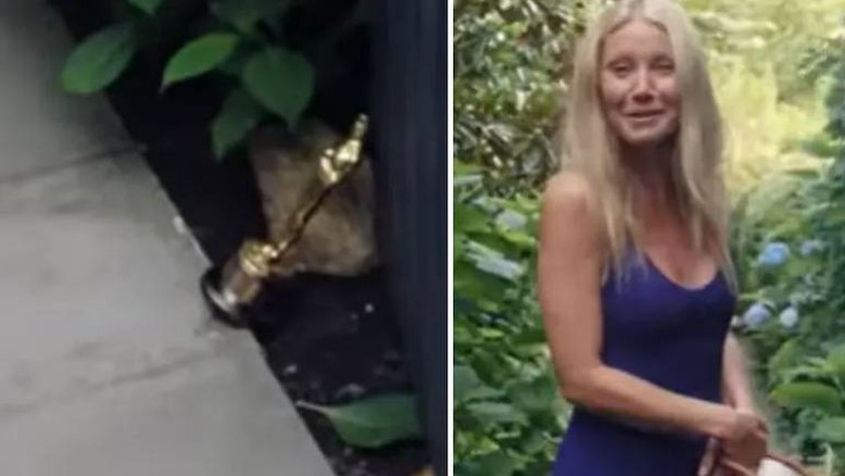 Gwyneth Paltrow diz que usa Oscar que ganhou por 'Shakespeare Apaixonado' como peso de porta