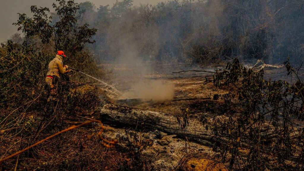 Bombeiro combate incêndio no Pantanal