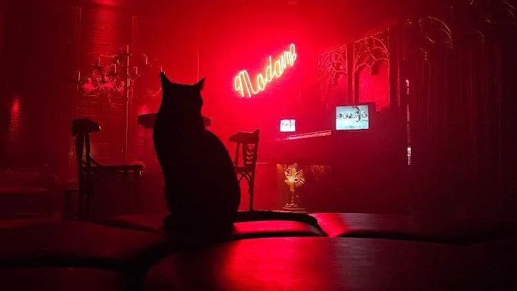 Casa noturna Madame Satã completa 40 anos