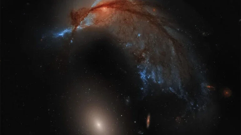 NGC 2936, a galáxia presente na parte superior desta imagem, era provavelmente uma galáxia espiral. Entretanto, ao se aproximar da enorme galáxia elíptica NGC 2937, logo abaixo, ela se modificou. Apelidada de Galáxia do Beija-Flor devido à sua forma icônica, NGC 2936 está sendo distorcida pela interação gravitacional. Atrás dos filamentos de poeira interestelar escura, estrelas azuis brilhantes formam o bico do beija-flor, enquanto o centro da espiral parece ser o olho. Arp 142 fica a cerca de 300 milhões de anos-luz de distância, na direção da Constelação da Hidra. Em cerca de um bilhão de anos, as duas galáxias provavelmente se fundirão em uma galáxia maior
