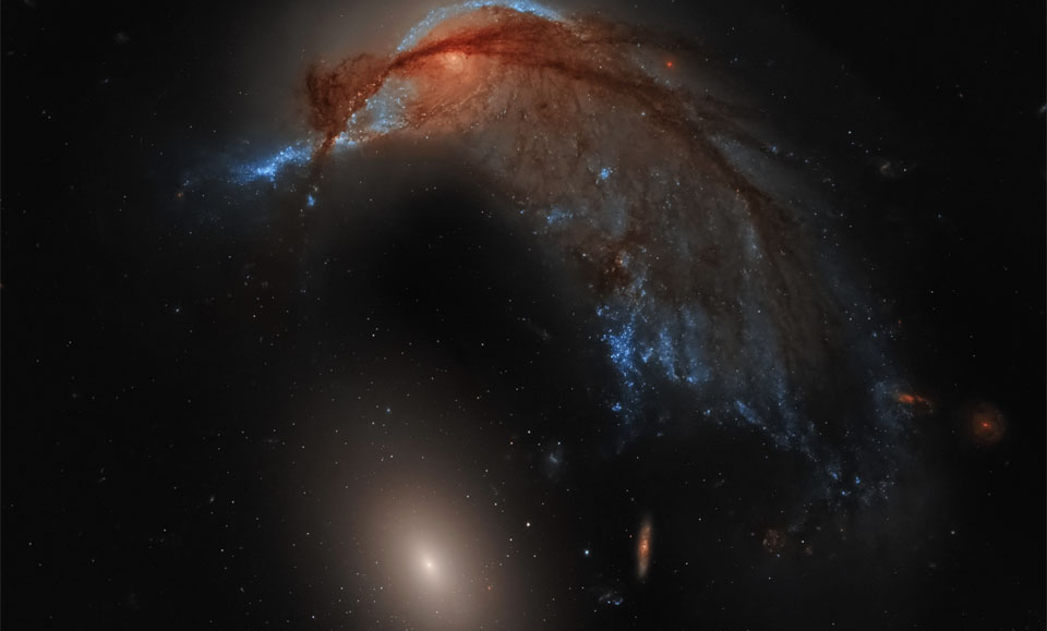 NGC 2936, a galáxia presente na parte superior desta imagem, era provavelmente uma galáxia espiral. Entretanto, ao se aproximar da enorme galáxia elíptica NGC 2937, logo abaixo, ela se modificou. Apelidada de Galáxia do Beija-Flor devido à sua forma icônica, NGC 2936 está sendo distorcida pela interação gravitacional. Atrás dos filamentos de poeira interestelar escura, estrelas azuis brilhantes formam o bico do beija-flor, enquanto o centro da espiral parece ser o olho. Arp 142 fica a cerca de 300 milhões de anos-luz de distância, na direção da Constelação da Hidra. Em cerca de um bilhão de anos, as duas galáxias provavelmente se fundirão em uma galáxia maior
