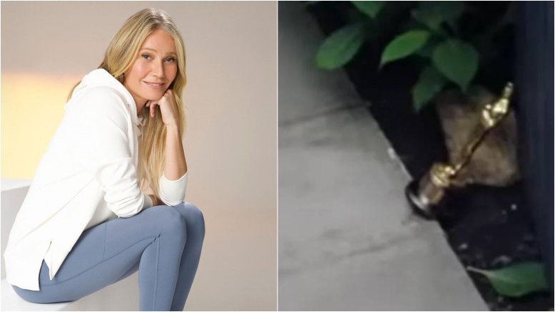 Representante diz que fala de Gwyneth Paltrow sobre Oscar como peso de porta era piada