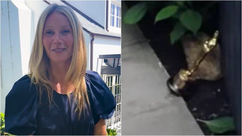 Brasileiros se revoltam com Gwyneth Paltrow por usar Oscar como peso de porta; atriz venceu Fernanda Montenegro na premiação