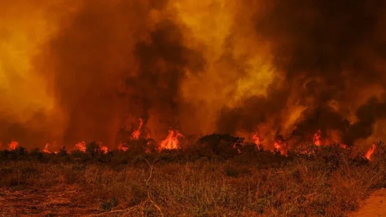 Incêndio no Pantanal