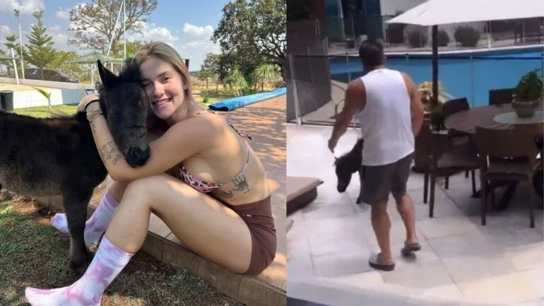 Virginia Fonseca e Leonardo ao lado do pônei Alfredo