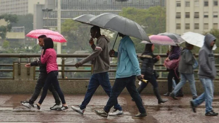 Temporal com rajadas de vento de mais de 100 km/h é recorde em SP; veja medição por bairro
