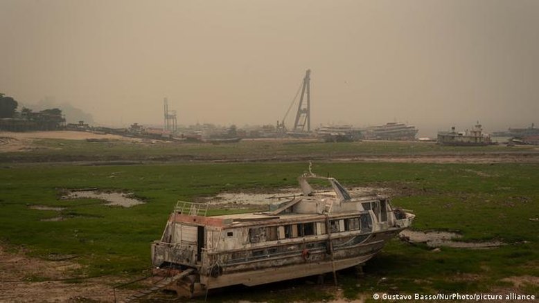 Desmatamento na Amazônia cai; queimadas no Amazonas aumentam