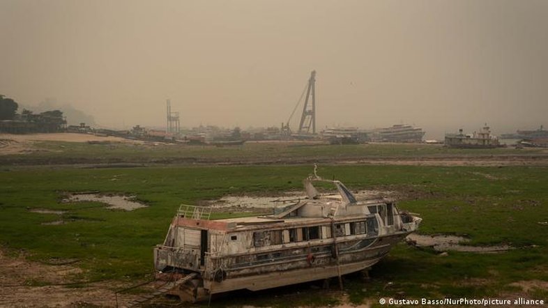 Desmatamento na Amazônia cai; queimadas no Amazonas aumentam