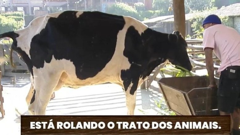 A Fazenda 15: 'Filha da p*ta', dispara WL ao xingar vaca durante trato dos animais