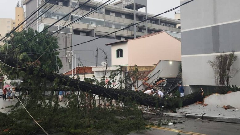 Vendaval fez com que diversas árvores caíssem na fiação