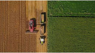 Colheita agrícola no Brasil