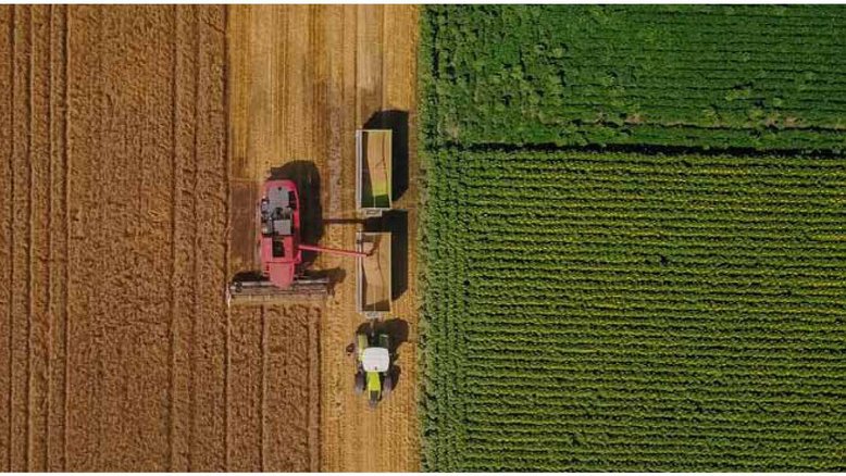 Colheita agrícola no Brasil