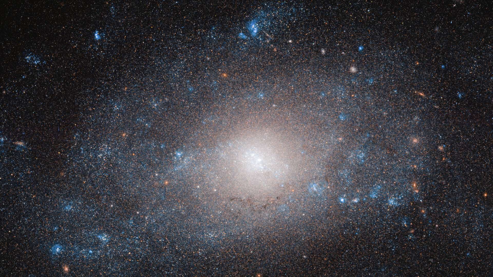 Na cauda do mítico animal representado na Constelação da Ursa Maior, está NGC 5585, uma galáxia espiral que é mais do que parece. As muitas estrelas e nuvens de poeira e gás que constituem NGC 5585 contribuem apenas com uma pequena fração da massa total da galáxia. Tal como acontece em muitas galáxias, esta discrepância pode ser explicada pela presença abundante, mas aparentemente invisível, de matéria escura. O disco da galáxia estende-se por mais de 35 mil anos-luz de diâmetro e está localizado a cerca de 28 milhões de anos-luz de distância da Terra