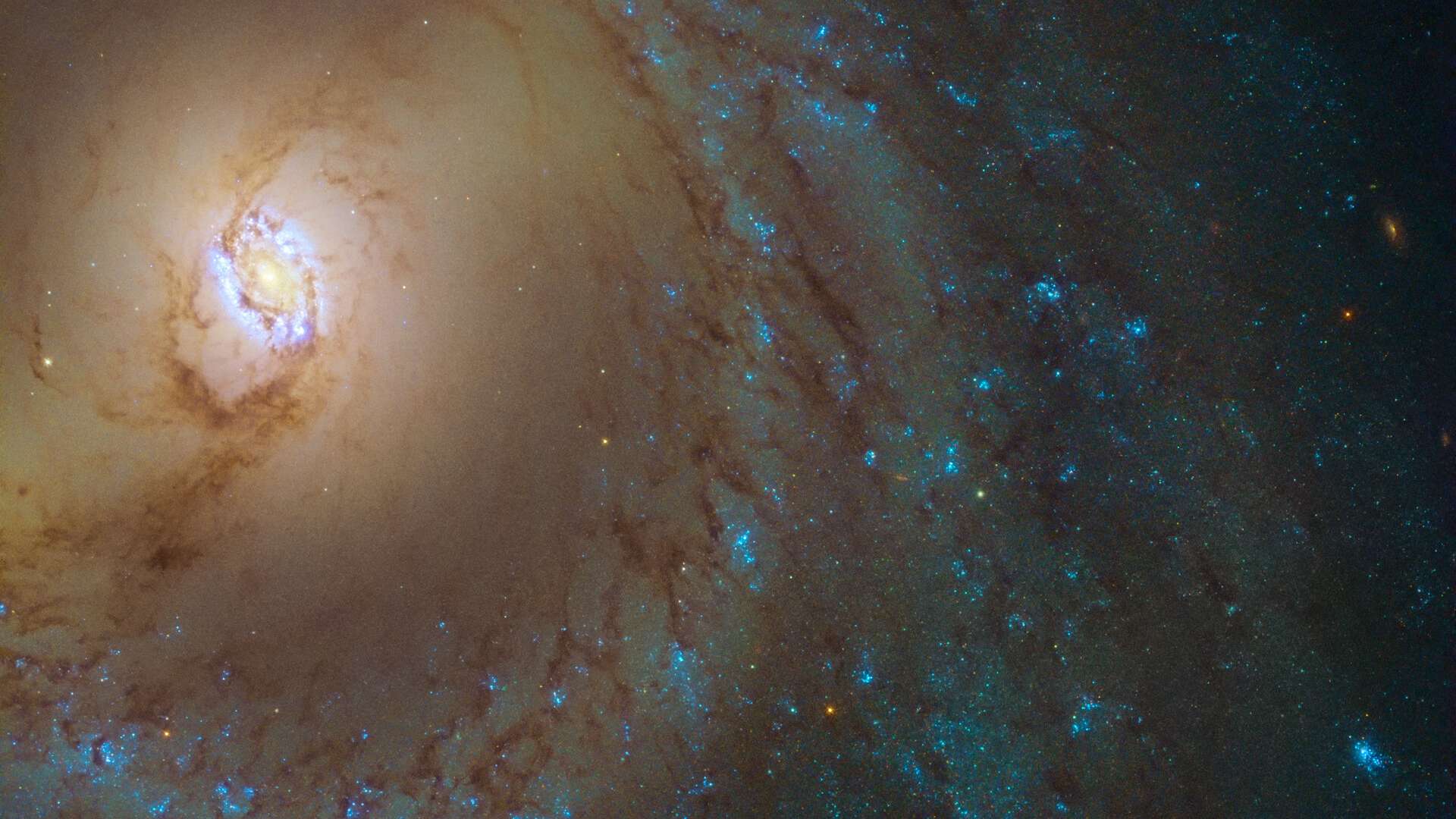 Messier 95 (também M95 ou NGC 3351) está localizada a cerca de 35 milhões de anos-luz de distância, na Constelação de Leão. Ela é uma galáxia espiral barrada, assim como a nossa Via Láctea, o que significa que tem uma barra cortando o seu centro, cercada por um anel interno que atualmente forma novas estrelas. Além disso, Messier 95 é também uma conhecida anfitriã dos dramáticos e explosivos estágios finais da vida de estrelas massivas: as supernovas. Em março de 2016, uma espetacular supernova chamada SN 2012aw foi observada nas regiões externas de um dos seus braços espirais. A estrela colapsada era uma supergigante vermelha com massa até 26 vezes maior do que a do Sol