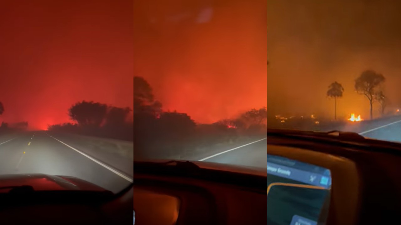 Incêndios no Pantanal: motorista atravessa ‘corredor de fogo’ em rodovia; veja vídeo