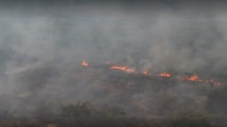 MT: incêndios chegam à rodovia Transpantaneira e preocupam fazendeiros locais