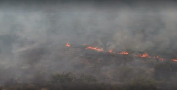 MT: incêndios chegam à rodovia Transpantaneira e preocupam fazendeiros locais