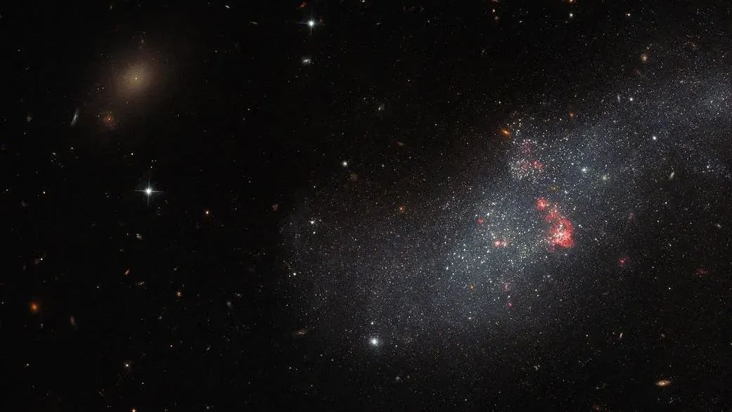 UGCA 307 paira sobre um cenário irregular de galáxias distantes. Esta pequena galáxia consiste numa faixa difusa de estrelas contendo bolhas vermelhas de gás que marcam regiões de formação estelar recente. Localizada a cerca de 26 milhões de anos-luz da Terra, na Constelação do Corvo, UGCA 307 se parece com uma pequena mancha de estrelas, sendo uma galáxia anã sem uma estrutura definida