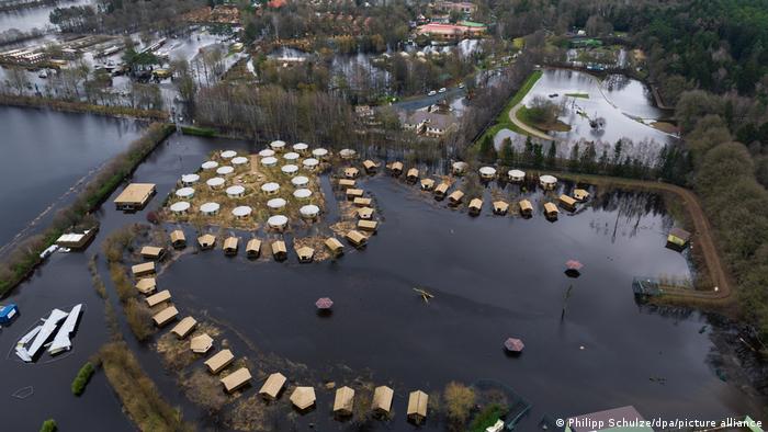 Chuva inunda zoológico de animais exóticos na Alemanha