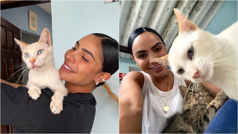 Aline Mineiro doa mil peças para bazar beneficente em prol de gatos abandonados