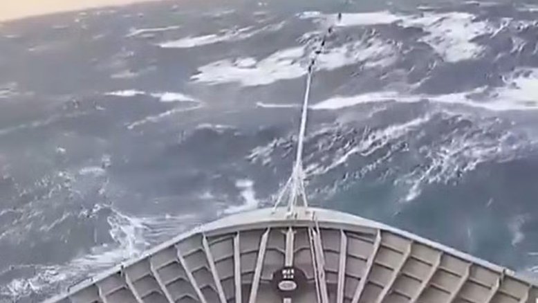 Navio