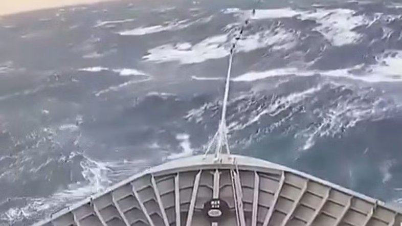 Navio