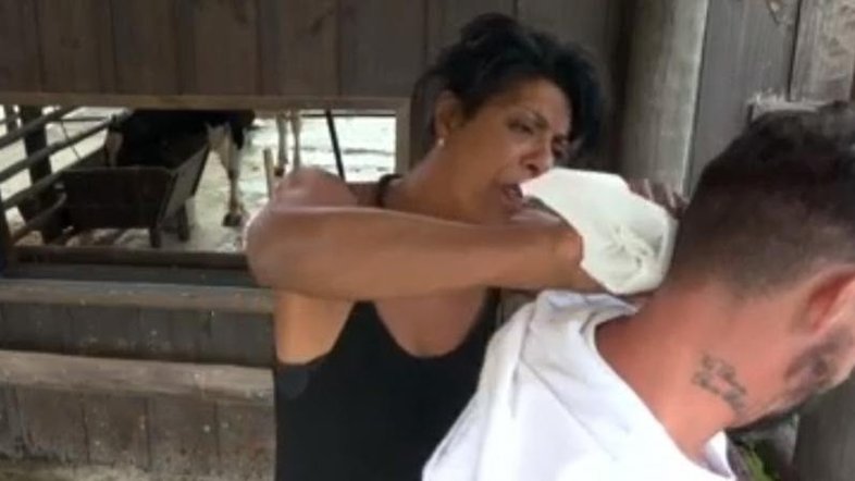 A Fazenda 15: 'Passou a cara no rabo da vaca?', questiona Márcia Fu ao limpar Radamés