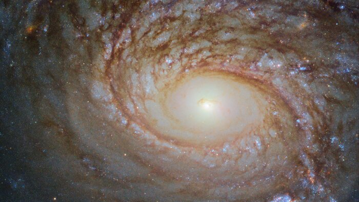 A galáxia espiral NGC 772 tem muito em comum com a nossa galáxia, a Via Láctea. Ambas têm galáxias satélites, ou seja, pequenas galáxias que as orbitam por conta da gravidade. No entanto, elas também são diferentes em alguns aspectos importantes. NGC 772 é uma galáxia espiral peculiar e não barrada, o que significa que há algo estranho em seu tamanho, forma ou composição, além de lhe faltar uma característica fundamental que é a presença de barras como se vê em muitas galáxias, incluindo a Via Láctea. As barras são feitas de gás e estrelas, o que permitiria o transporte de material através do núcleo galáctico, possivelmente fomentando a formação de estrelas. NGC 772 fica a 110 milhões de anos-luz de distância, na direção da Constelação de Áries