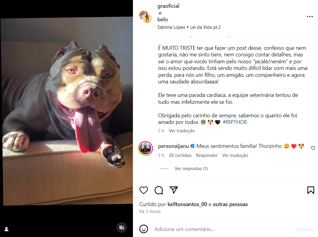 Belo e Gracyanne lamentam morte do cachorro, Thor: 'Rápido e doloroso' 2 Cachorro Thor em post de Belo e Gracyanne