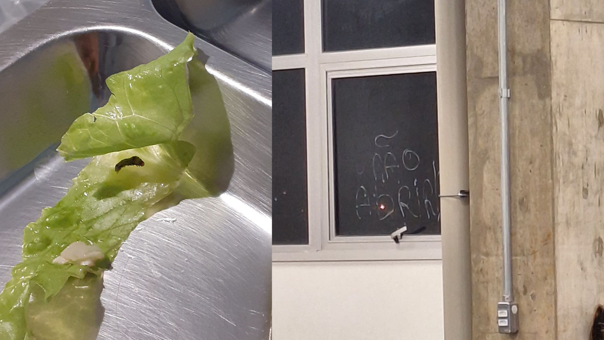 Larva na comida e janela interditada da Unifesp Diadema