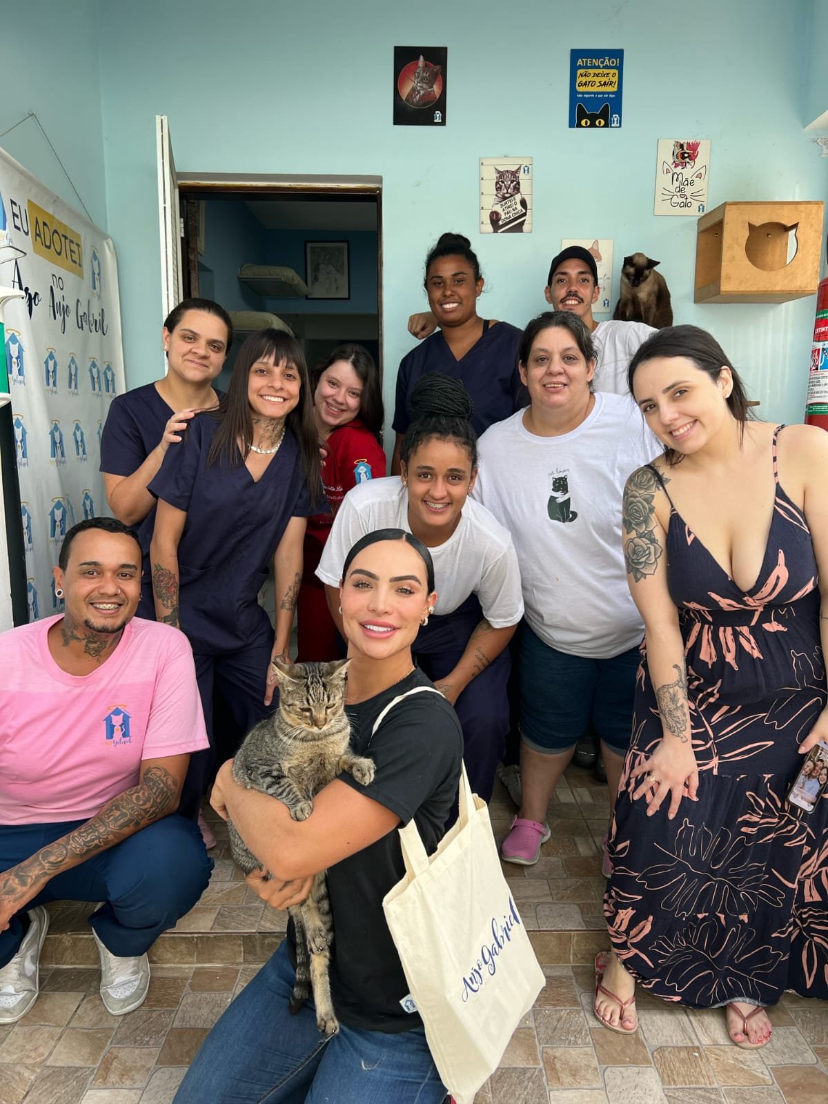 Aline Mineiro doa mil peças para bazar beneficente em prol de gatos abandonados 4 Aline Mineiro doa mil peças para bazar beneficente em prol de gatos abandonados