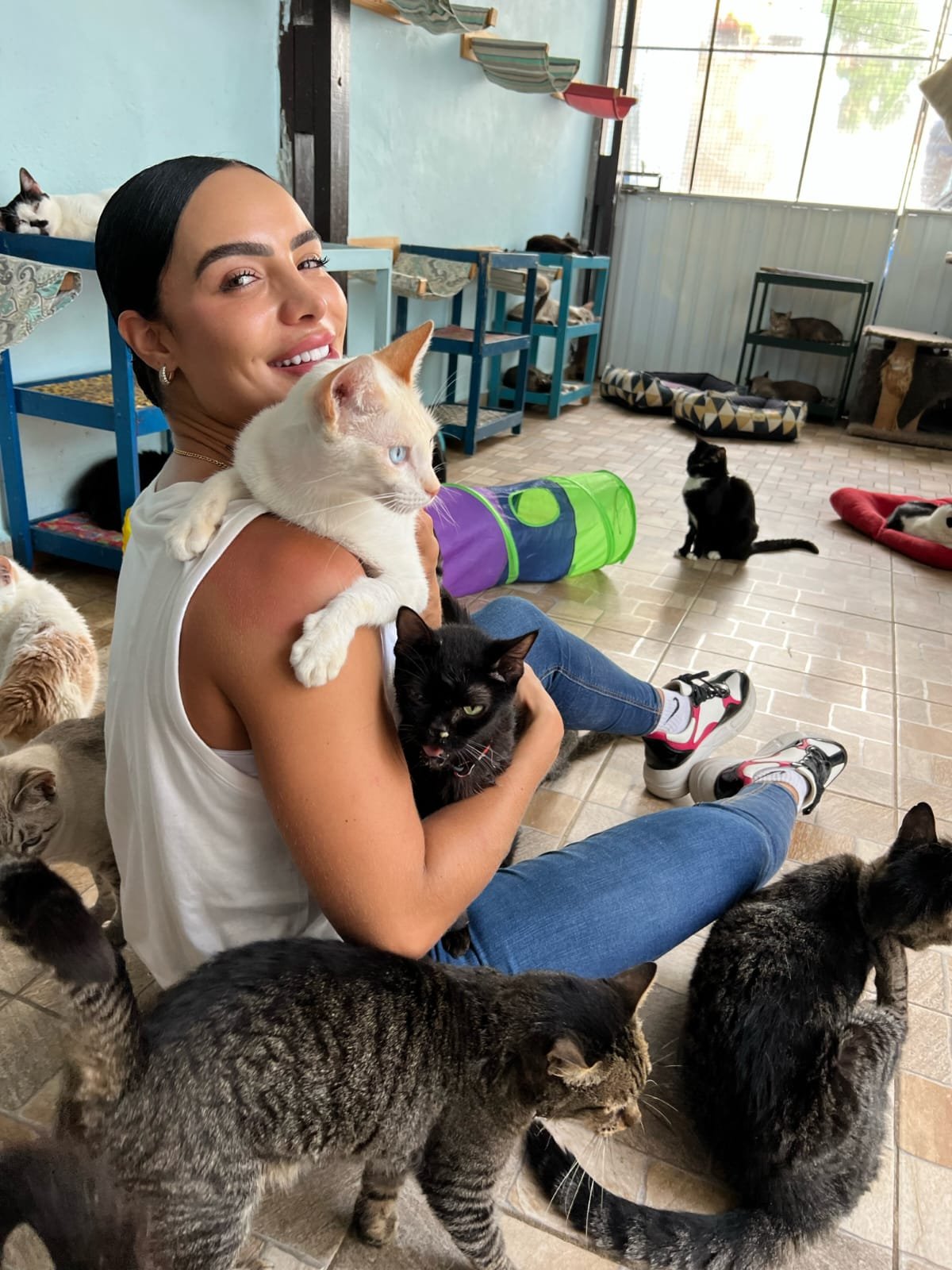 Aline Mineiro doa mil peças para bazar beneficente em prol de gatos abandonados 3 Aline Mineiro doa mil peças para bazar beneficente em prol de gatos abandonados