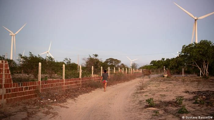 Sonho da energia verde vira pesadelo para alguns na Caatinga