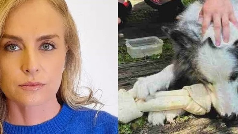Angélica lamenta perda de sua cachorra de estimação: 'Um dos nosso anjos se foi'