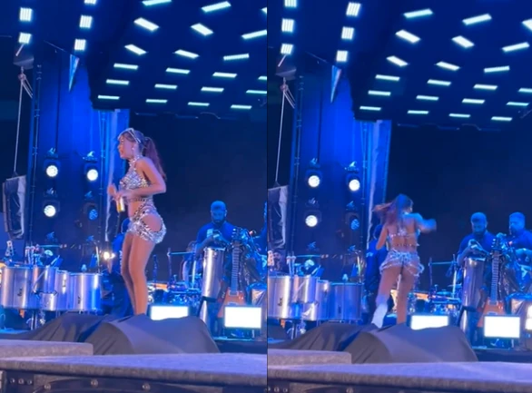 Anitta também teve que fugir de um fã que subiu no palco