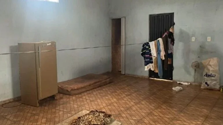 Reprodução/Bom Dia Paraná