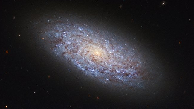 O objeto desta imagem é a galáxia anã NGC 5949. Graças à sua proximidade com a Terra - cerca de 44 milhões de anos-luz, na direção da Constelação de Draco - NGC 5949 é um alvo perfeito para o estudo de galáxias anãs. Com uma massa de cerca de um centésimo da Via Láctea, NGC 5949 é um exemplo relativamente volumoso de galáxia anã. A sua classificação como anã deve-se ao seu número relativamente pequeno de estrelas, embora seus braços espirais frouxamente ligados também a coloquem na categoria de espirais barradas