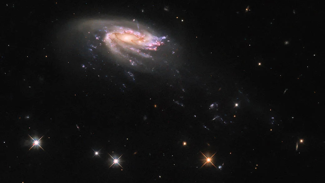 O objeto designado como galáxia água-viva JO206 aparece nesta imagem obtida pelo Telescópio Espacial Hubble. As galáxias do tipo água-viva são assim chamadas devido à sua semelhança com seus homônimos aquáticos. O disco colorido de formação de estrelas é rodeado por uma nuvem de poeira pálida e luminosa. Um punhado de estrelas brilhantes, em primeiro plano e com picos de difração, também se destaca neste registro. JO206 fica a mais de 700 milhões de anos-luz da Terra, na Constelação de Aquário