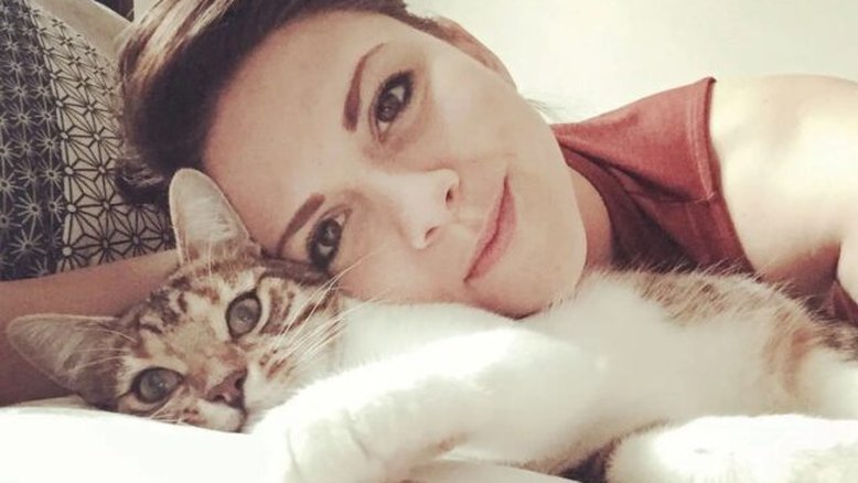 Gato desaparecido é encontrado sete anos depois a 270 metros de casa