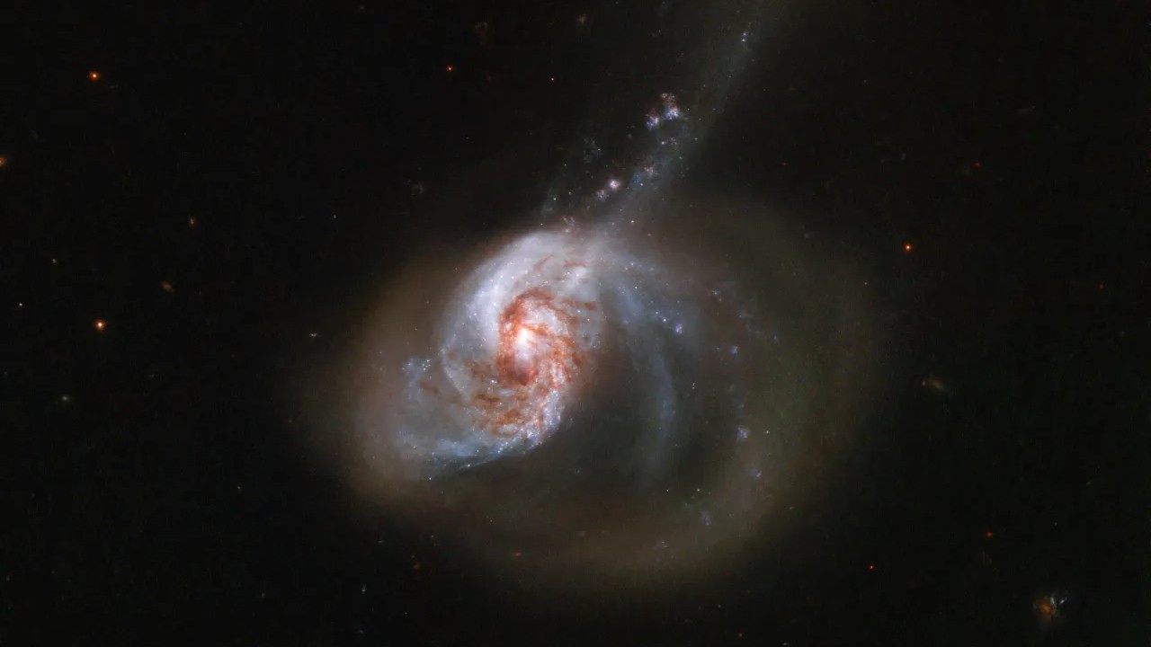 NGC 1614 é uma galáxia de formato excêntrico e repleta de atividade. A galáxia está a cerca de 200 milhões de anos-luz da Terra, na Constelação de Eridanus. NGC 1614 é o resultado de uma fusão galáctica ativa, que cria sua aparência peculiar, incluindo uma cauda de maré. A colisão cósmica também provoca um fluxo turbulento de gás interestelar da menor das duas galáxias envolvidas para o núcleo da maior, resultando numa explosão de formação estelar que começou no núcleo e se espalhou lentamente pela galáxia