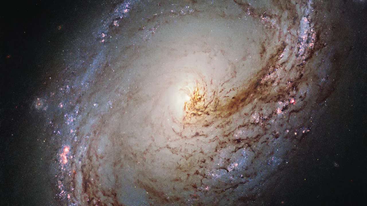 Esta imagem do Telescópio Espacial Hubble mostra Messier 96, uma galáxia espiral a pouco mais de 35 milhões de anos-luz de distância, na Constelação de Leão. Ela tem aproximadamente a mesma massa e tamanho da Via Láctea, se assemelhando a um redemoinho gigante de gás brilhante, ondulado e com poeira escura que gira em direção ao núcleo. Messier 96 é uma galáxia muito assimétrica: sua poeira e gás estão distribuídos de forma desigual por seus braços espirais e seu núcleo não está exatamente no centro galáctico
