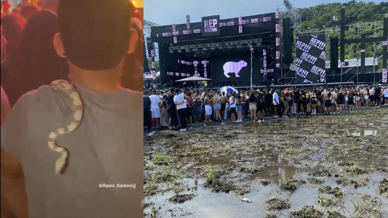 Cobra e lamaçal no REP Festival 2023