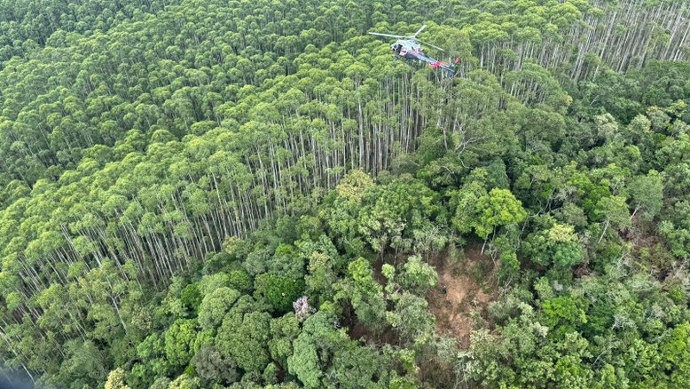 Helicóptero desaparecido foi encontrado em zona de mata fechada