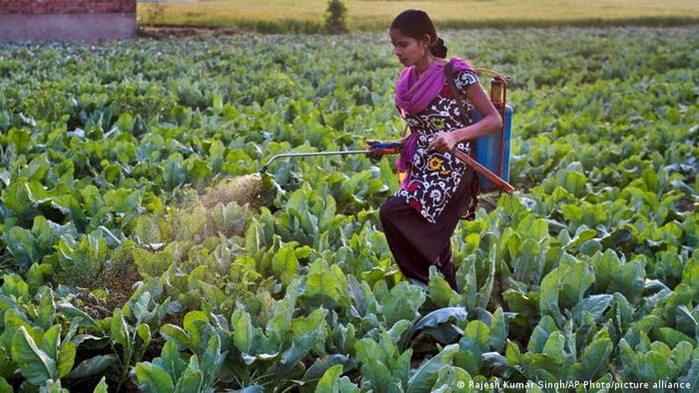 Qual é a eficácia dos pesticidas orgânicos?