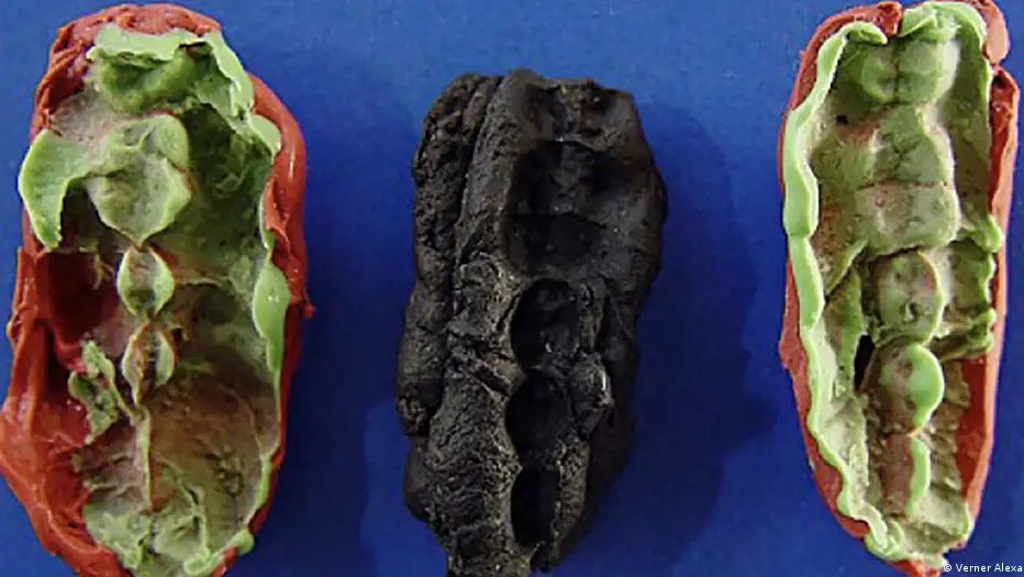 Chiclete de 10 mil anos encontrado na Suécia
