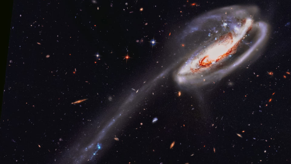 A galáxia espiral corrompida Arp 188 é também conhecida como Galáxia do Girino. Localizada a apenas 420 milhões de anos-luz de distância, na Constelação de Draco (“O Dragão”), sua cauda tem cerca de 280 mil anos-luz de comprimento, com enormes aglomerados de estrelas azuis brilhantes. Diz-se que uma galáxia intrusa mais compacta cruzou a frente de Arp 188, da direita para a esquerda nesta imagem, sendo posteriormente lançada pela atração gravitacional. Durante esse encontro, as forças de maré retiraram estrelas, gás e poeira da galáxia espiral, formando sua cauda. A galáxia intrusa, cerca de 300 mil anos-luz atrás da cauda do girino, pode ser vista entre os braços espirais em primeiro plano, no canto superior direito