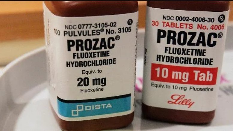 Tomar Prozac durante a gravidez pode afetar o desenvolvimento do cérebro fetal, aponta estudo