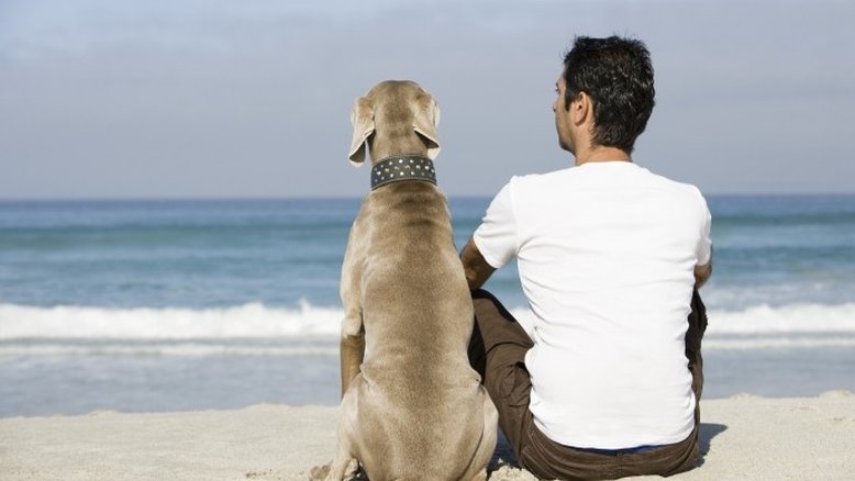 Passar tempo com cães pode aliviar o estresse