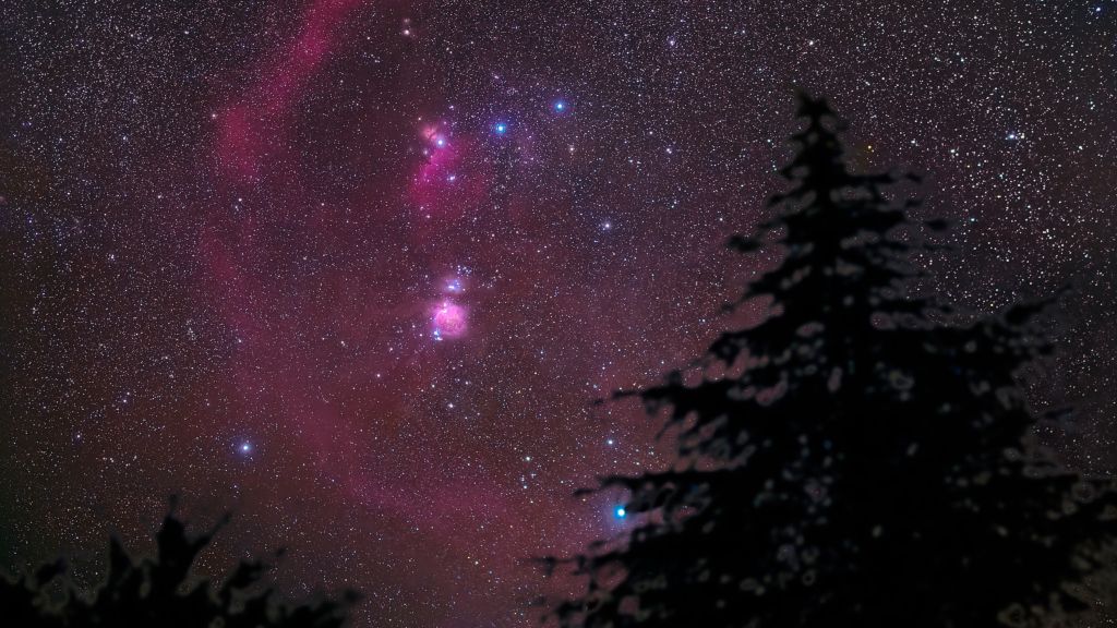 Registradas perto da aldeia rural de Albanyà, no nordeste de Espanha, as três estrelas do Cinturão de Órion estendem-se, acima e ao centro, desta imagem. Alnitak, a estrela mais oriental (à esquerda), está próxima ao brilho mais difuso da Nebulosa da Chama da famosa Nebulosa da Cabeça de Cavalo. Facilmente visível a olho nu, a Grande Nebulosa de Órion está abaixo do cinturão de estrelas. A apenas 1,5 mil anos-luz de distância, este é o berçário estelar mais próximo da Terra. Mais bem visto em fotografias, o arco do Loop de Barnard parece abraçar as estrelas e nebulosas mais brilhantes de Órion. Perto do horizonte, em direção ao canto inferior direito, a supergigante azul de Orion, Rigel, parece tocar os galhos do pinheiro